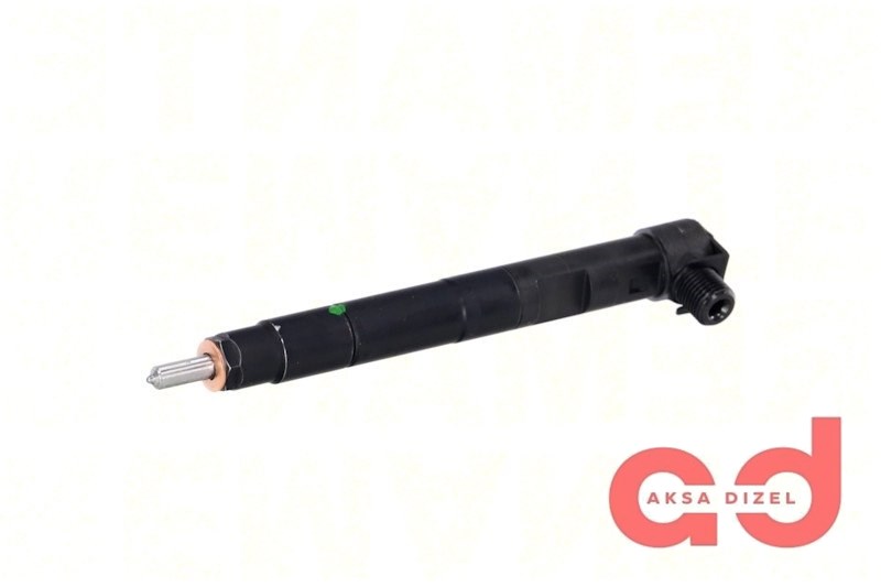 Delphi Common Rail Dizel Enjektör 6510703087